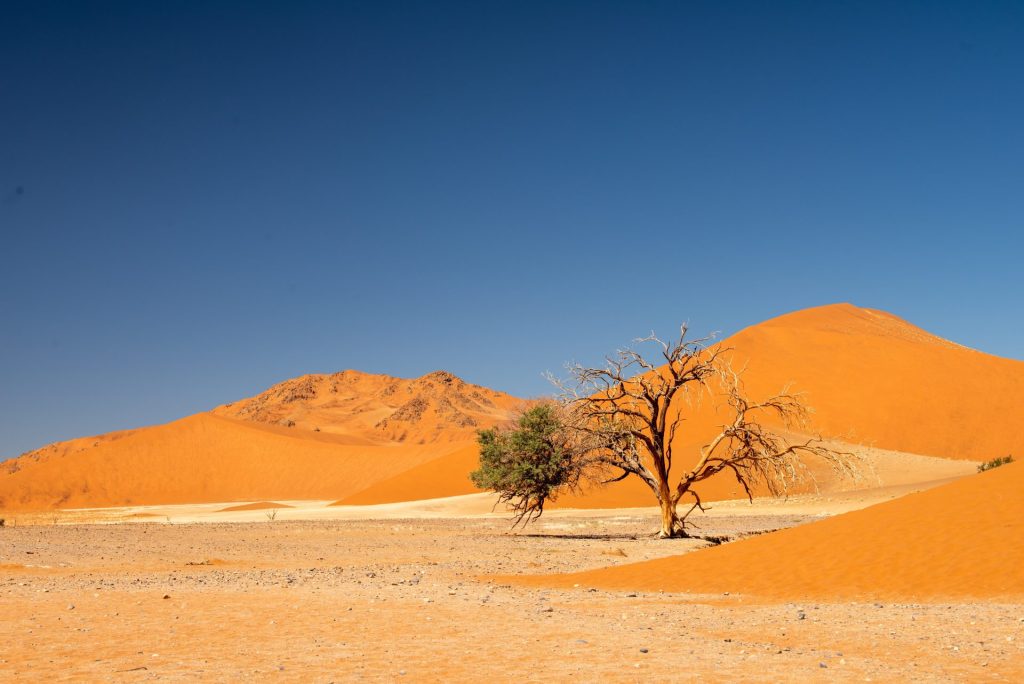 Sand dunes - Namibia motorcycle tour