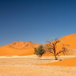 Sand dunes - Namibia motorcycle tour