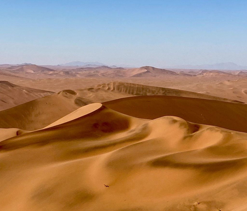 namib desert