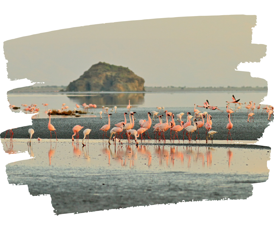 lake natron